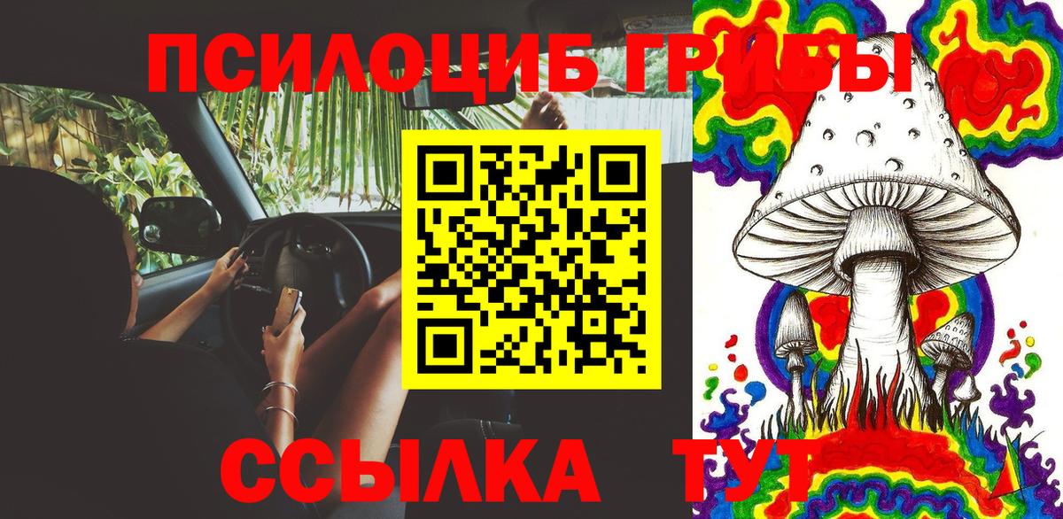 Галлюциногенные грибы мицелий Выборг
